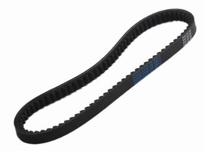 TRİGER KAYIŞI CONTI CT704 (119X254) AUDI VW LT28 LT31 LT35 LT40 LT45 LT50 resmi