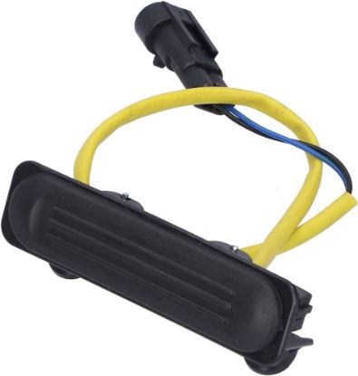 BAGAJ AÇMA DÜĞMESİ 201020 DOBLO resmi