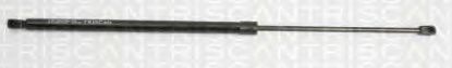 BAGAJ AMORTİSÖR 610303 (613293) CADDY (04-06) resmi