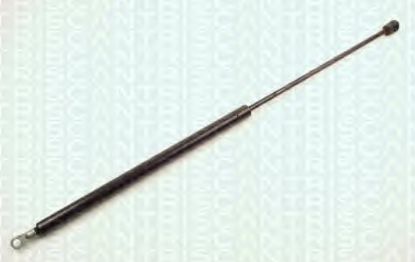 BAGAJ AMORTİSÖRÜ 610645 BX resmi