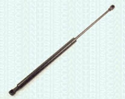BAGAJ AMORTİSÖRÜ 613007 (610863) P307 (00-) resmi