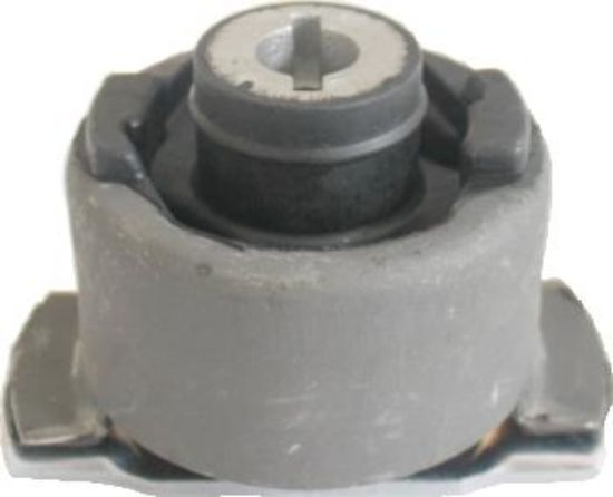 TORSİYON TAKOZU SAĞ LAGUNA II 01-> resmi