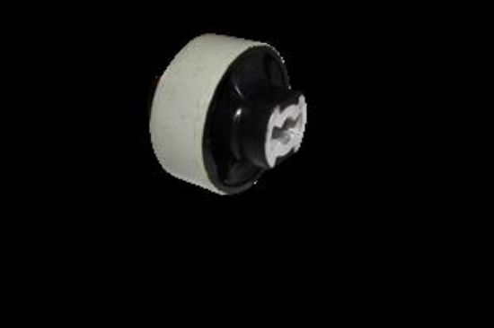 SALINCAK BURCU BÜYÜK DOBLO 2010-> resmi