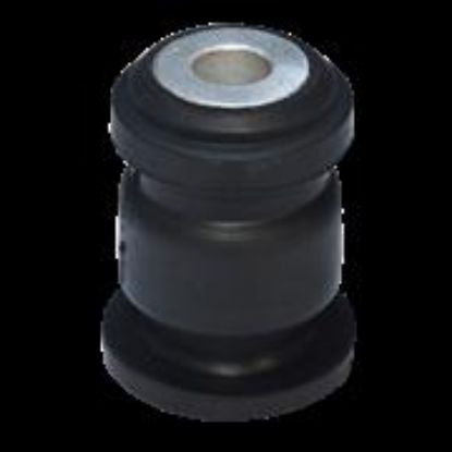 SALINCAK BURCU EGEA resmi