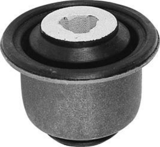 SALINCAK BURCU 1129 KANGO resmi