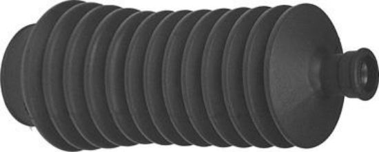 DİREKSİYON KÖRÜĞÜ 1704 MASTER resmi