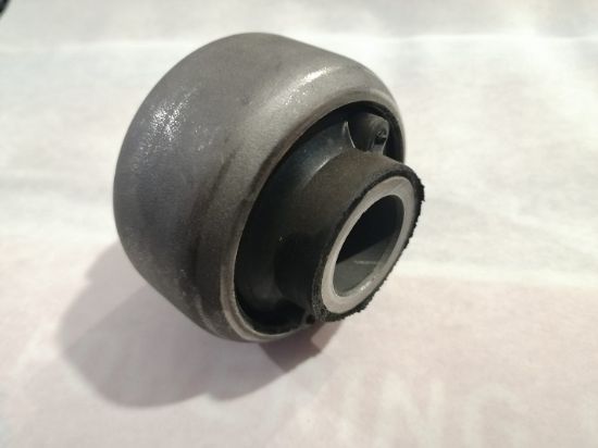 SALINCAK BURCU 200818 P208 P2008 C3 II III C4 CACTUS DS3 resmi