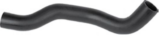 RADYATÖR HORTUMU (ALT) T13302 STAREX MİNİBÜS 2.4-2.5 CRDİ (97>08) resmi