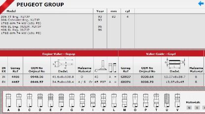 SİBOP TAKIMI 4466 4467 IN 4 EX 4 P205 P306 P406 1.9 8V BENZİNLİ XU7JP resmi