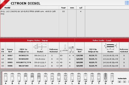 SİBOP GAYDI G0290 IN 4 EX 4 PARTNER 1.9D 8V resmi