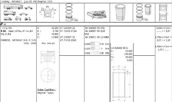 MOTOR SEGMANI 63365119 100 80,0 MEGANE EKSPRES KANGO R19 1.9D F8Q resmi