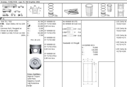 PİSTON SEGMAN 8771783 STD 8788900002 75,0 MM P307 1.6 HDI DW6 C4 JUMPY FOCUS resmi