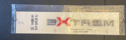 MONOGRAM YAZI "EXTREME" YENİ KANGOO (K61) 768F45041R resmi