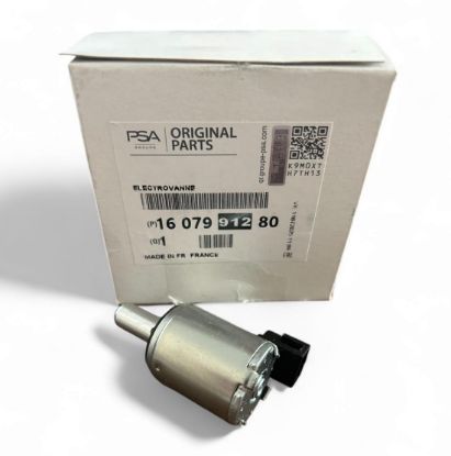 ELEKTROVANA P308 P207 C4 DPO ŞANZUMAN MEGANE CLIO LAGUNA resmi