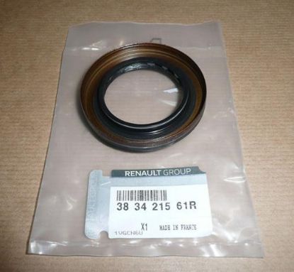 DEFRANSİYEL ARKA KEÇESİ 383421561R MEGANE I LAGUNA II resmi