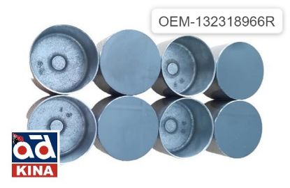 SİBOP FİNCANI TAKIMI (8 AD) CLIO V SANDERO MEGANE IV 1.5DCİ K9K EURO6 132318966R resmi