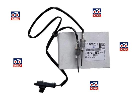 EKSOZ SICAKLIK SENSÖRÜ P3008 P301 P308 P5008 P508 EXPERT-IV PARTNER RIFTER resmi