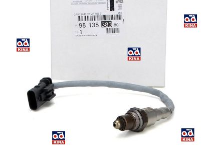 OKSİJEN SONDASI 9813838380 RIFTER P208 C3 resmi