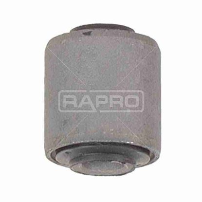 SALINCAK BURCU 59102 C15 resmi