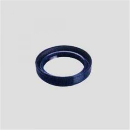 MAHRUTİ KEÇESİ SAĞ 047480V DKS L1L FKM resmi