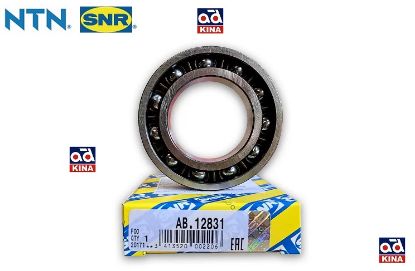 DEFRANSİYEL BİLYASI AB12831 R9 KÜÇÜK resmi