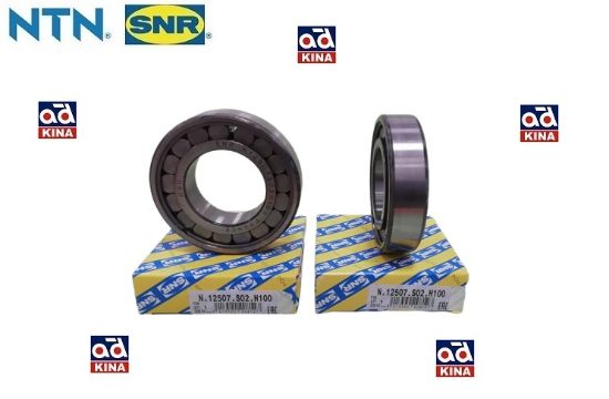 ŞANZIMAN RULMANI N12507S02H100 TEMPRA MQ 93-> resmi