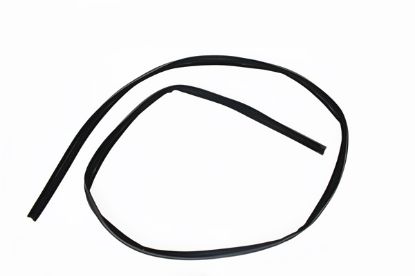 KAPI CAM KADİFELİ FİTİL ÖN 10042 R12 resmi