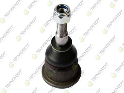 ROTİL F204 M131 resmi