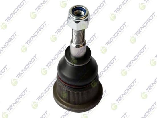 ROTİL F204 M131 resmi