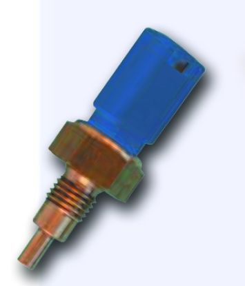 HARARET MÜŞÜRÜ 9634.2 PALIO SIENA resmi