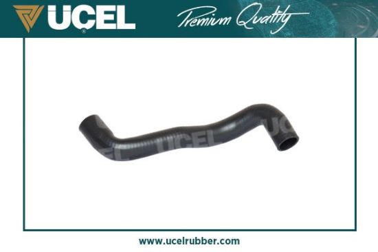 RADYATÖR HORTUMU ÜST 15564 MEGANE-II SCENIC II 1.4 1.6 2.0 16V K4JLM (02-09) resmi