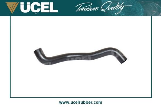 RADYATÖR HORTUMU ÜST 15700 KANGOO-II (08-) 1.5DCI 85-105 HP KWOB resmi