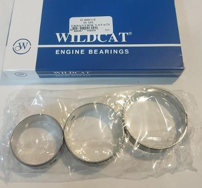 EKSANTRİK YATAĞI 600 M131 resmi